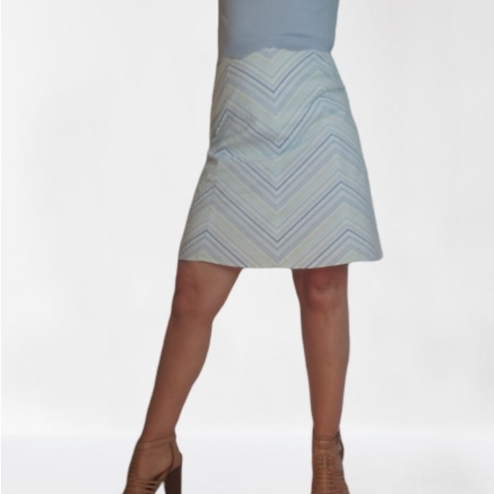 Talbots Chevron A-Line Skirt in Light Blue and Cream